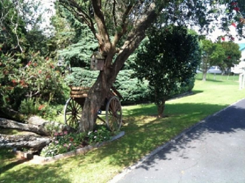 Dargaville Motel Eksteriør billede